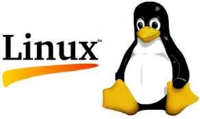 پایان نامه رشته کامپیوتر در مورد سیستم عامل لینوکس